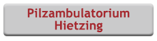 hietzing1